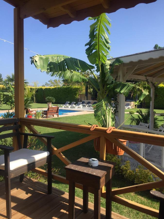 איזמיר Moya Urla Butik Otel מראה חיצוני תמונה